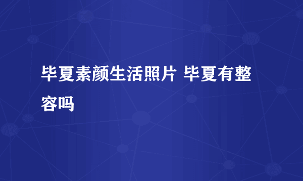 毕夏素颜生活照片 毕夏有整容吗