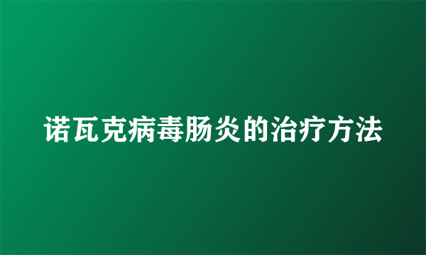 诺瓦克病毒肠炎的治疗方法