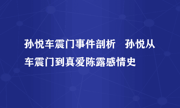 孙悦车震门事件剖析   孙悦从车震门到真爱陈露感情史