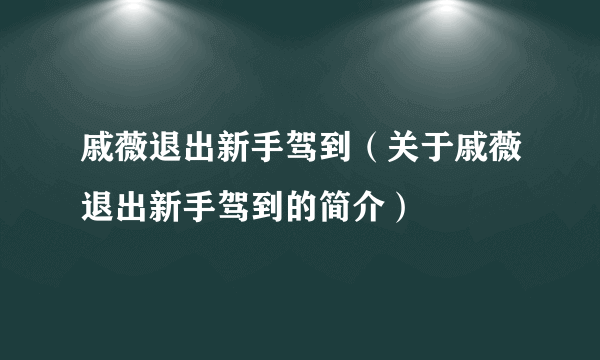 戚薇退出新手驾到（关于戚薇退出新手驾到的简介）