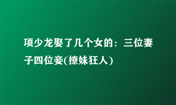 项少龙娶了几个女的：三位妻子四位妾(撩妹狂人)