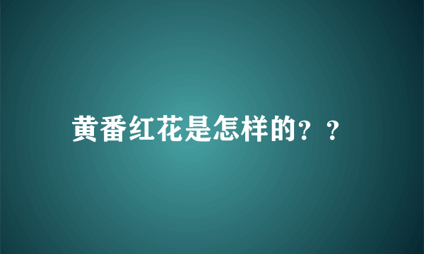 黄番红花是怎样的？？