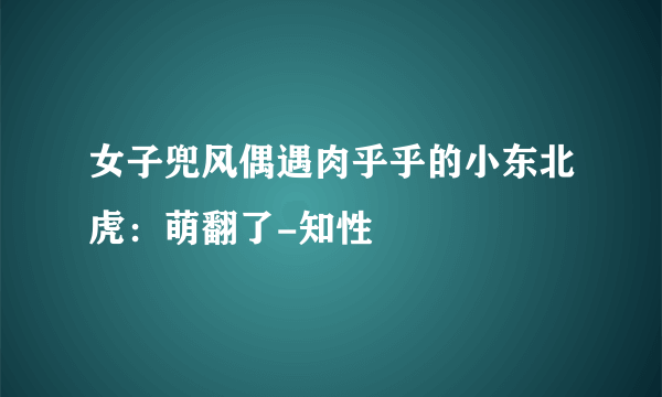 女子兜风偶遇肉乎乎的小东北虎：萌翻了-知性