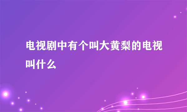 电视剧中有个叫大黄梨的电视叫什么