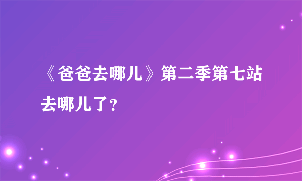 《爸爸去哪儿》第二季第七站去哪儿了？