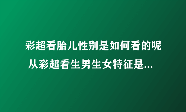 彩超看胎儿性别是如何看的呢 从彩超看生男生女特征是怎么看的