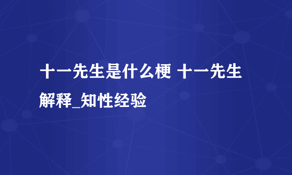 十一先生是什么梗 十一先生解释_知性经验