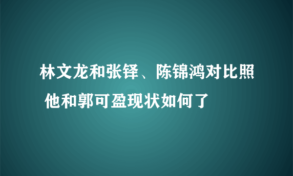 林文龙和张铎、陈锦鸿对比照 他和郭可盈现状如何了