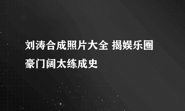 刘涛合成照片大全 揭娱乐圈豪门阔太练成史