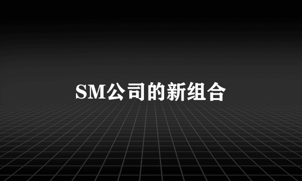 SM公司的新组合