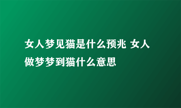 女人梦见猫是什么预兆 女人做梦梦到猫什么意思