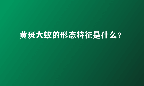 黄斑大蚊的形态特征是什么？