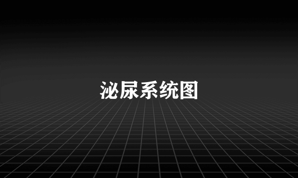 泌尿系统图