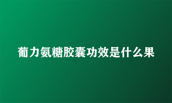 葡力氨糖胶囊功效是什么果