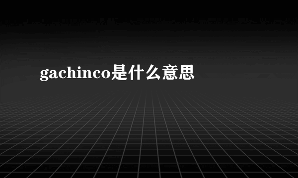 gachinco是什么意思