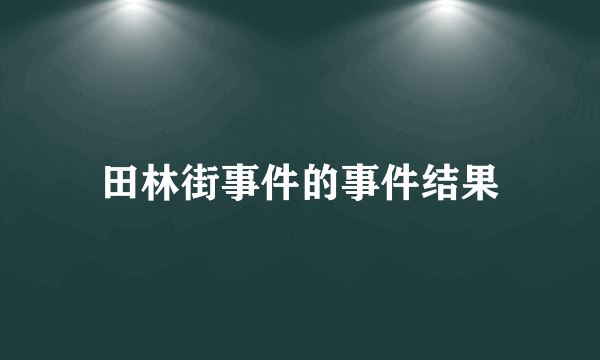 田林街事件的事件结果