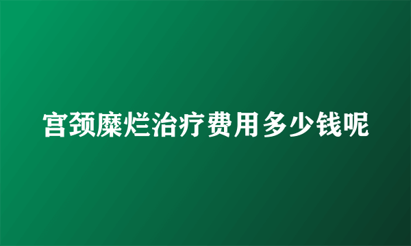 宫颈糜烂治疗费用多少钱呢