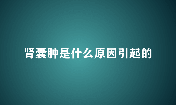 肾囊肿是什么原因引起的