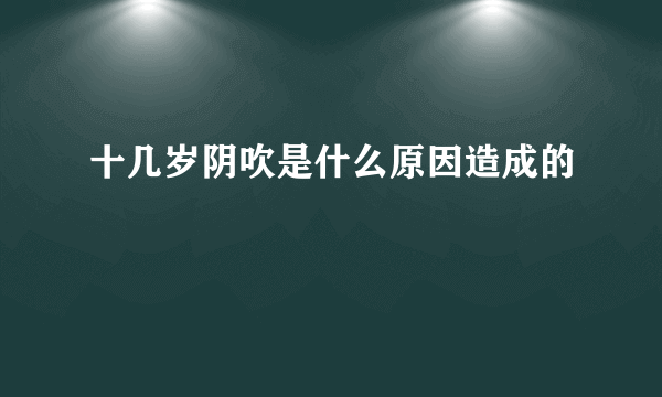 十几岁阴吹是什么原因造成的