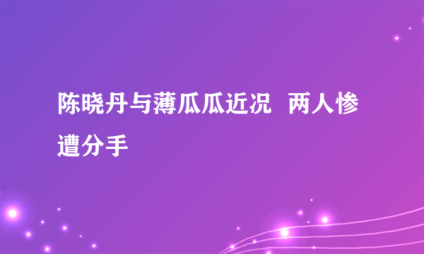 陈晓丹与薄瓜瓜近况  两人惨遭分手