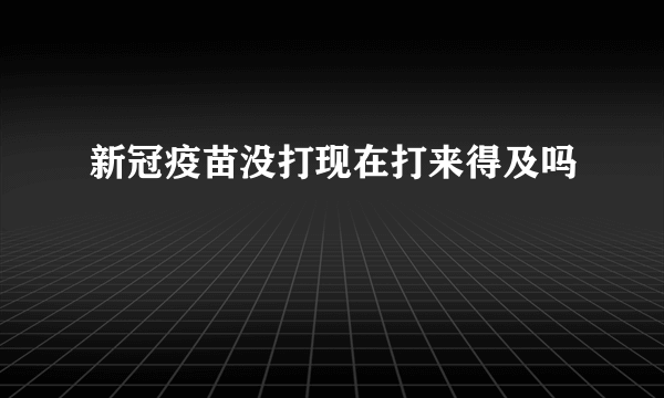 新冠疫苗没打现在打来得及吗