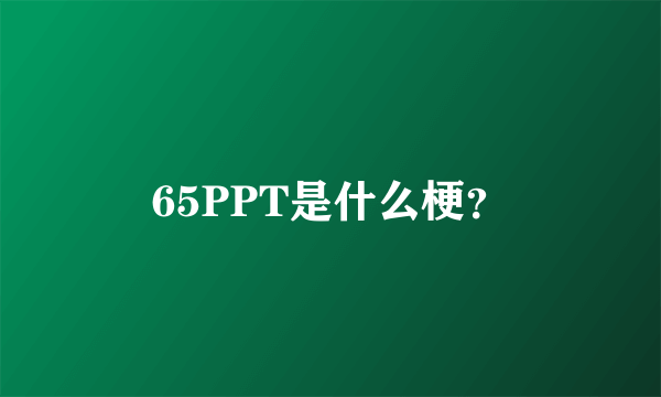 65PPT是什么梗？