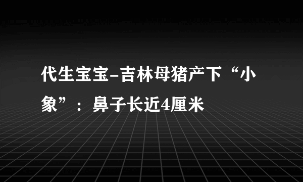 代生宝宝-吉林母猪产下“小象”：鼻子长近4厘米