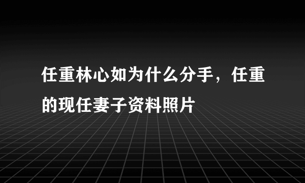 任重林心如为什么分手，任重的现任妻子资料照片