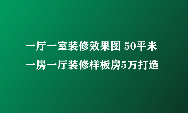 一厅一室装修效果图 50平米一房一厅装修样板房5万打造