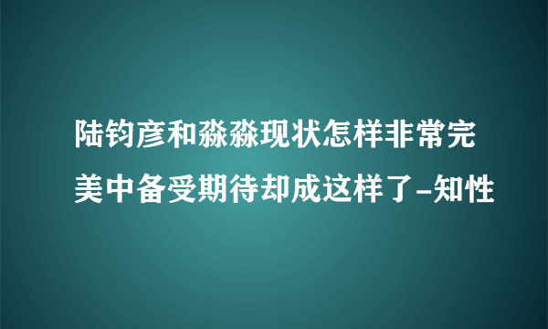 陆钧彦和淼淼现状怎样非常完美中备受期待却成这样了-知性