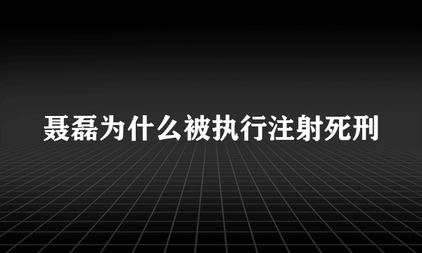 聂磊为什么被执行注射死刑