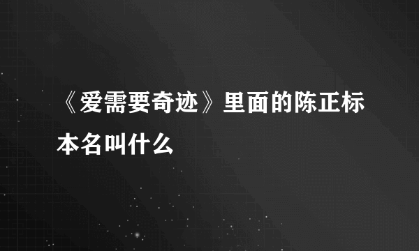 《爱需要奇迹》里面的陈正标本名叫什么