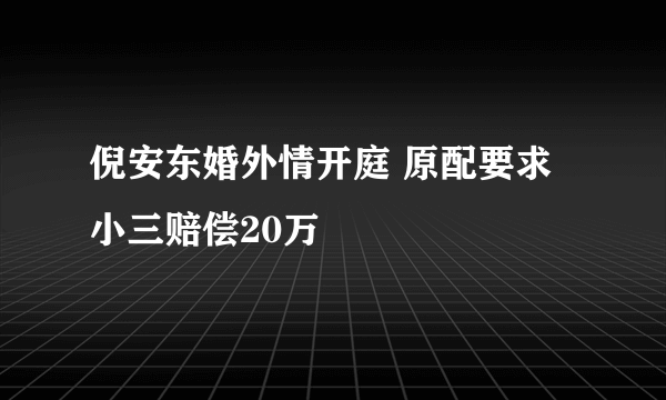 倪安东婚外情开庭 原配要求小三赔偿20万