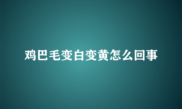 鸡巴毛变白变黄怎么回事