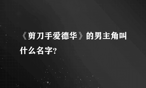 《剪刀手爱德华》的男主角叫什么名字？