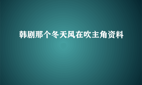 韩剧那个冬天风在吹主角资料