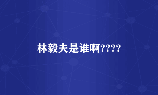 林毅夫是谁啊????