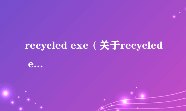 recycled exe（关于recycled exe的介绍）