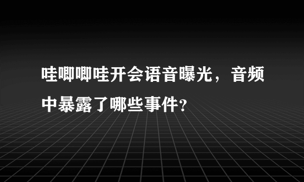 哇唧唧哇开会语音曝光，音频中暴露了哪些事件？