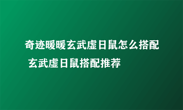 奇迹暖暖玄武虚日鼠怎么搭配 玄武虚日鼠搭配推荐