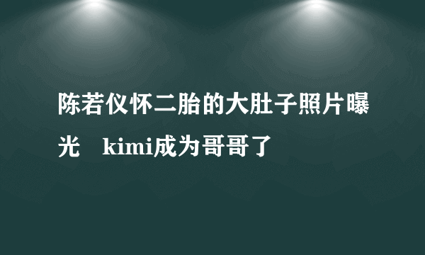 陈若仪怀二胎的大肚子照片曝光   kimi成为哥哥了