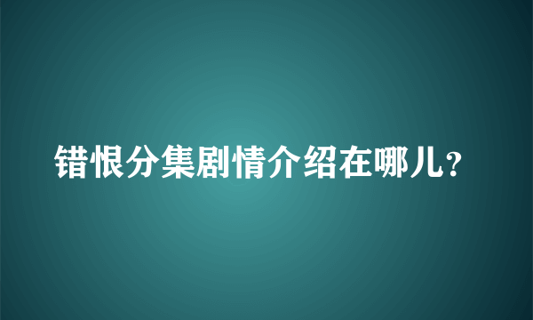 错恨分集剧情介绍在哪儿？