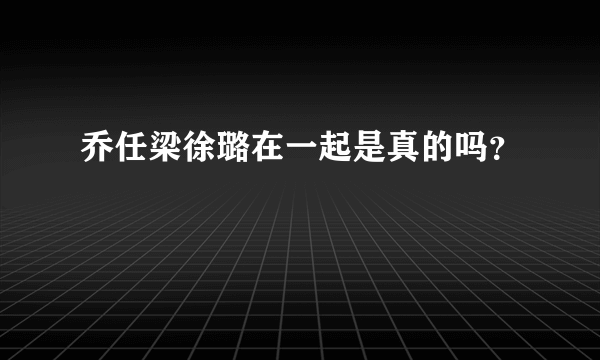 乔任梁徐璐在一起是真的吗？