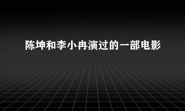 陈坤和李小冉演过的一部电影