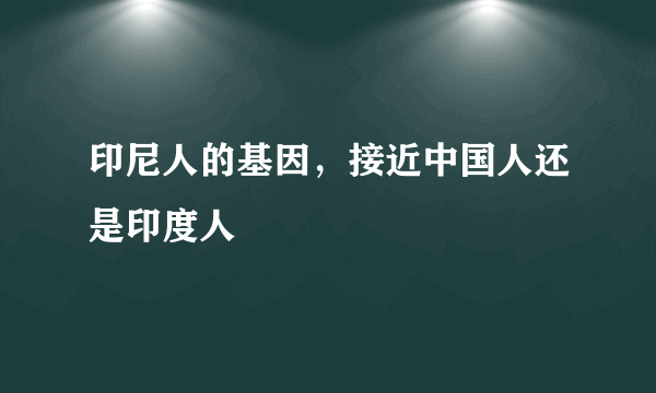 印尼人的基因，接近中国人还是印度人