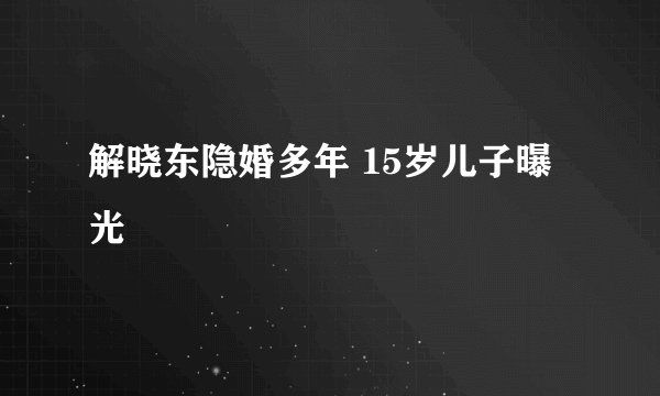 解晓东隐婚多年 15岁儿子曝光