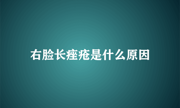 右脸长痤疮是什么原因