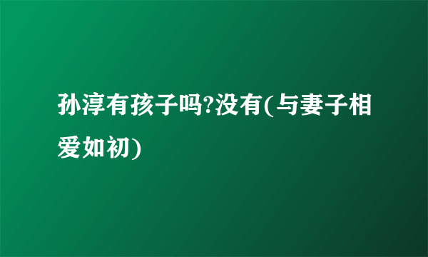 孙淳有孩子吗?没有(与妻子相爱如初)