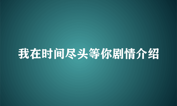 我在时间尽头等你剧情介绍