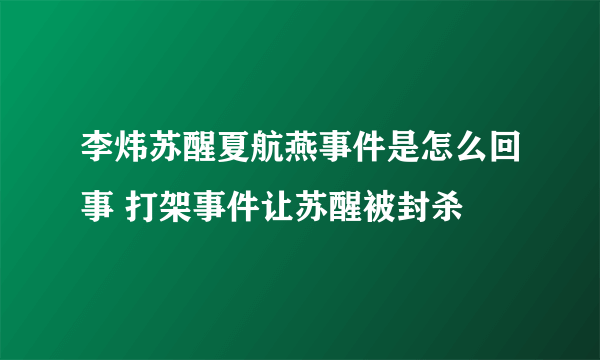 李炜苏醒夏航燕事件是怎么回事 打架事件让苏醒被封杀